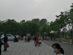 -东郊湿地公园