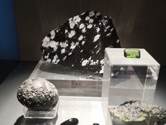 -中国地质博物馆