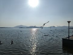 -蠡湖大桥公园