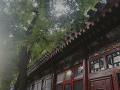 -簋街