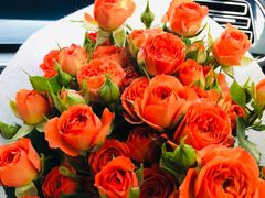 -循礼门鲜花花市(武汉循礼门店)