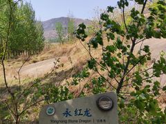 -嵖岈山风景区