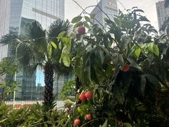 -威克健身游泳(万菱汇店)