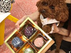 -帕帕拉兹宠物(亚洲旗舰店)