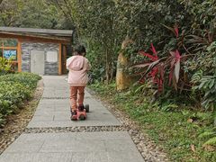 -云溪植物园