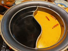 -温野菜涮涮锅(曲江大悦城店)