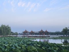 -长春市南湖公园