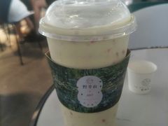 -野萃山·潮汕厚果汁(十亩地店)