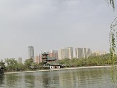 -迎泽公园