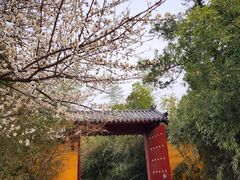 -竹林寺