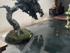 -觀芷隐轩