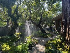 -Chom Cafe and Restaurant