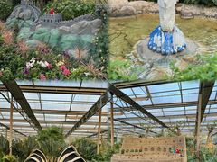 -南宫五洲植物乐园