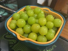 -皖北巫氏三胖地锅鸡(长淮总店)
