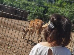 -北京山里寒舍度假酒店