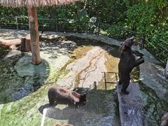 -深圳野生动物园
