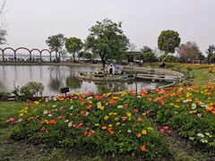 -鹅湖玫瑰文化园