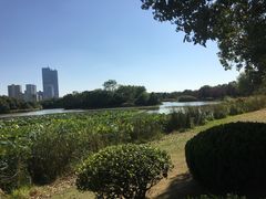 -艾溪湖湿地公园