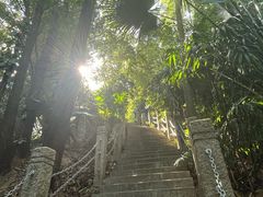 -深圳国际园林花卉博览园