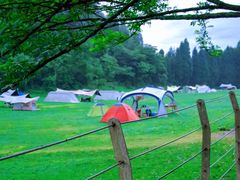 -武陵山森林公园