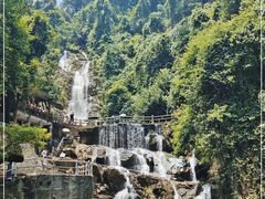 -鼎湖山风景区