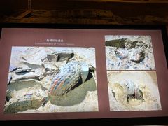 -秦始皇帝陵博物院(兵马俑)