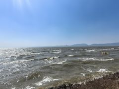 -呈贡滇池生态湿地公园