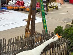 -王婆炒鱼(总店)