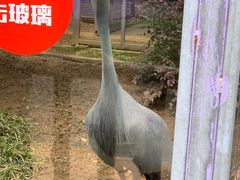 -无锡动物园·太湖欢乐园