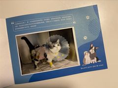 -纳吉亚猫专科动物医院·北北分院