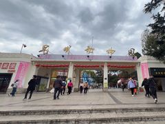 -昆明动物园