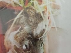 -福满楼中餐厅