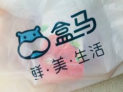 -盒马鲜生(大成店)