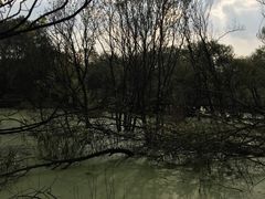 -西湖风景区-江洋畈生态公园