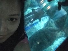 -暹罗海洋世界