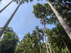 -中国科学院西双版纳热带植物园