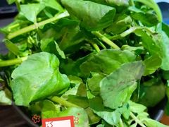 西洋菜-东椰·海南椰子鸡火锅(朝阳门店)