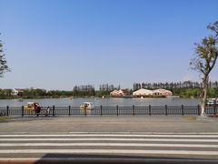 -上海长兴岛郊野公园