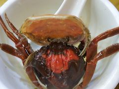-溱湖八鲜菜馆