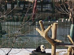 -沈阳森林动物园