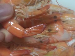 -T11生鲜超市(朝阳公园店)