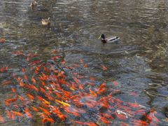 -水磨沟公园