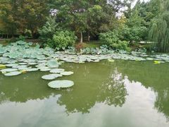 -东方绿舟景区