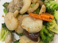 -凤城礼记鱼翅海鲜酒家(新马路总店)