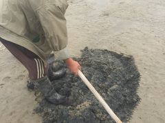 -北海金海湾红树林生态旅游区