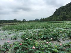 -南宁花花大世界景区