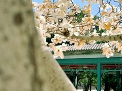 -北京市劳动人民文化宫
