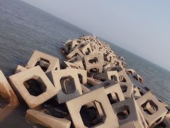 -东疆建设开发纪念公园