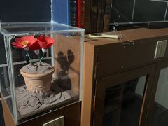 -Xcape异时刻密室逃脱魔法互动(瑞虹天地太阳宫店)