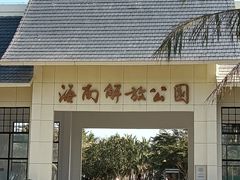 -临高角